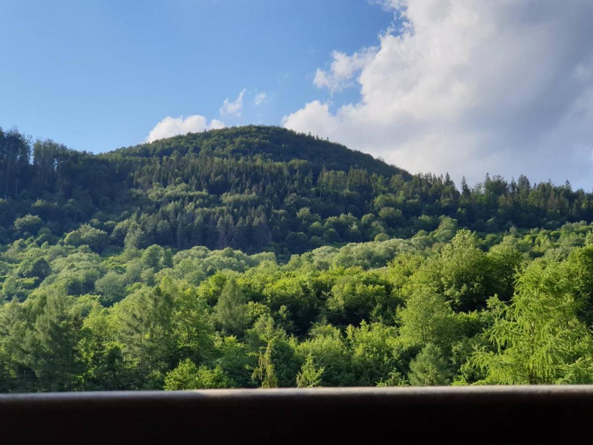 Apartmany Ema A Peter Terchova Luaran gambar